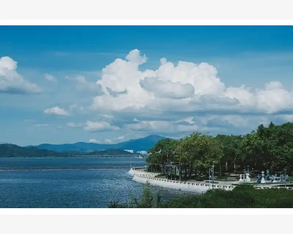 脾胃调理记录表怎么写：一份简单实用的健康指南